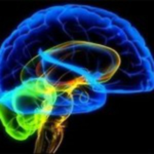 El cerebro de Buda. La neurociencia de la felicidad, el